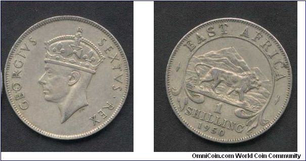 1 Shilling From East Africa Issued 1950 Under British Occupation