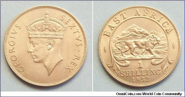 988446.jpg