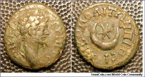 Nicopolis ad Istrum
Septimius Severus
A.D. 193-211 	Æ 17. Rev. ΝΙΚΟΠΟΛΙΤΩΝ ΠΡΟC Ι, Star and crescent. 3gm V2472 var.