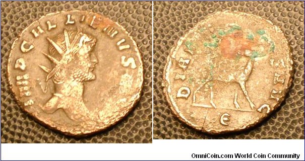 GALLIENUS
A.D. 253-268 	Æ Antoninianus. Obv. IMP GALLIENVS AVG, Radiate head right. Rev. DIANAE CONS AVG, Doe walking right, head left, E in exergue. 3.2gm 21mm RCV 10199 var. RSC 154