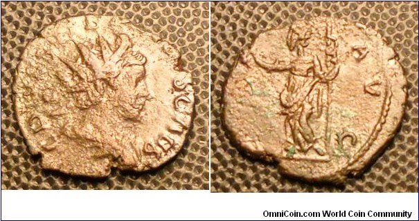 TETRICUS II
Caesar
A.D. 271-274 	Æ Antoninianus. Obv. C PIV ESV TETRICVS CAES, Radiate draped and cuirassed bust right. Rev. (PAX) AVG, Pax standing left holding branch and sceptre.