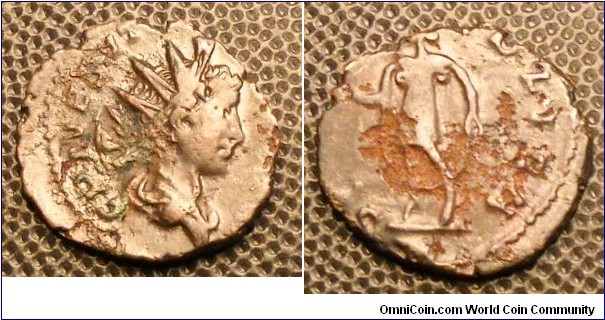 TETRICUS II
Caesar
A.D. 271-274 	Æ Antoninianus. Obv. C PIV ESV T(ETRICVS CAES), Radiate draped and cuirassed bust right. Rev. S(PES PV)BLICA, Spes advancing left holding flower and raising skirt.