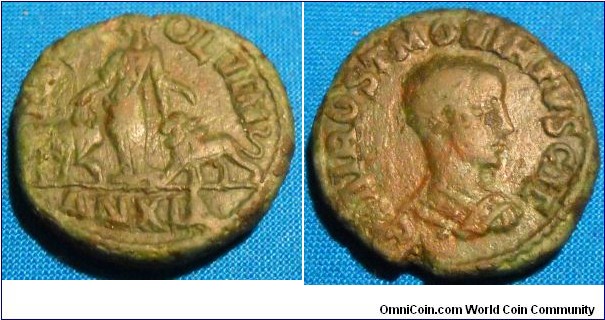 HOSTILIAN CAESAR 	MOESIA SUPERIOR, VIMINACIUM, Æ 26, Rev. P M S COL VIM, Moesia standing left between bull and lion, AN XII in exergue (=A.D. 250-251).