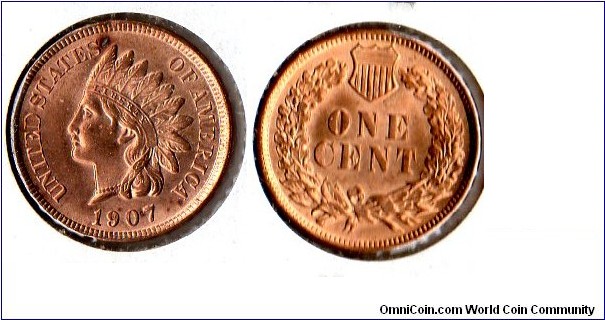 1907 Indian Head Penny
MS-65RD? Going to be graded soon.
