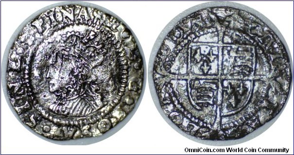 Elizabeth I Penny mintmark Martlet. No rose or date. 0.45gms  13mm   