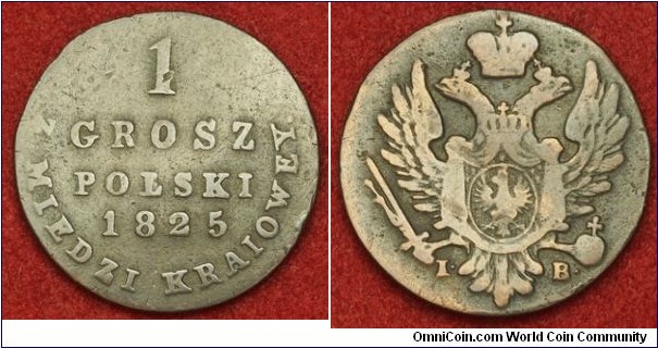 Condition: VF
Mint Year: 1825
Reference: KM-94. 
Mint Place: Warsaw 
Denomination: 1 Grosz
Ruler: Alexander I of Russia
Mint Master: Jakub Benik (I-B, 1811-1827)
Material: Copper
Diameter: 20mm 
Weight: 2.75gm 

Obverse: Large crown above crowned double-headed Russian eagle holding imperial scepter and orb. Mint master´s initials (I-B) below.

Reverse: Value (1) above denomination (GROSZ POLSKI) and date (1832).
Legend: Z MIEDZI KRAIOWEY 

Congress Poland, officially and formally Kingdom of Poland (Polish: Królestwo Polskie, Russian: Tsarstvo Polskoye) and informally known as Russian Poland was a constitutional personal union of the Russian Empire created in 1815 by the Congress of Vienna, replaced by the Central Powers in 1915 with the Kingdom of Poland. Though officially Congress Poland was to begin its statehood with considerable official political autonomy, the Tsars generally disregarded any restrictions on their power and severely curtailed autonomous powers following uprisings in 1830-31 and 1863 turning it first into a puppet state of the Russian Empire and later dividing it into provinces. Thus from the start the Polish autonomy remained nothing more than fiction.
