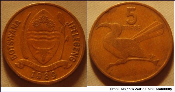 Botswana | 
5 Thebe, 1989 | 
19.5 mm, 2.8 gr.| 
Bronze

Obverse: National Coat of Arms, date below | 
Lettering: BOTSWANA IPELEGENG | 

Reverse: Toko bird facing left, denomination above | 
Lettering: 5 THEBE |