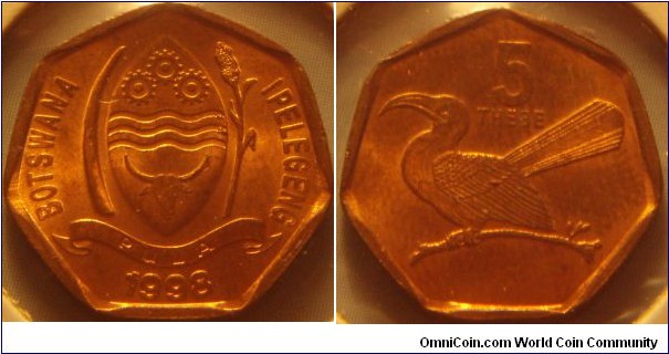 Botswana | 
5 Thebe, 1998 | 
19.79 mm, 2.41 gr. | 
Bronze clad Steel

Obverse: National Coat of Arms, date below | 
Lettering: BOTSWANA IPELEGENG | 

Reverse: Toko bird facing left, denomination above | 
Lettering: 5 THEBE |