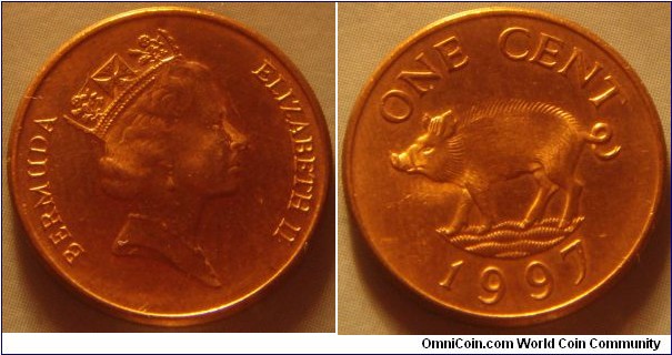 Bermuda |  
1 Cent, 1997 | 
19 mm, 2.4 gr. | 
Copper plates Zinc | 

Obverse: Queen Elizabeth II facing right | 
Lettering: BERMUDA ELIZABETH II | 

Reverse: A wild boar facing left, denomination above, date below | 
Lettering: ONE CENT 1997 |