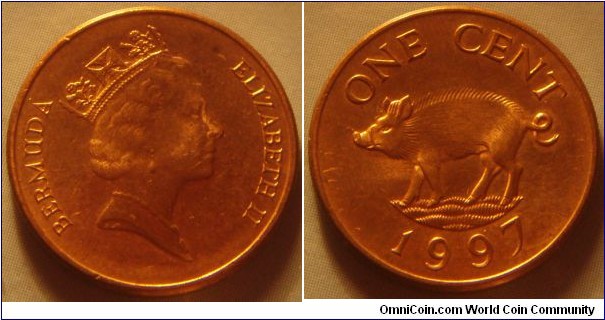Bermuda |  
1 Cent, 1997 | 
19 mm, 2.4 gr. | 
Copper plates Zinc | 

Obverse: Queen Elizabeth II facing right | 
Lettering: BERMUDA ELIZABETH II | 

Reverse: A wild boar facing left, denomination above, date below | 
Lettering: ONE CENT 1997 |