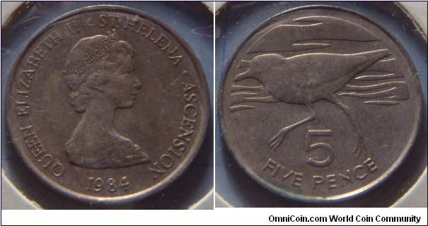 Saint Helena & Ascension | 
5 Pence, 1984 | 
23.6 mm, 5.65 gr. | 
Copper-nickel | 

Obverse: Queen Elizabeth II facing right | 
Lettering: QUEEN ELIZABETH II ST. HELENA ˖ ASCENSION 1984 | 

Reverse: Rain piper bird facing left, denomination below | 
Lettering: 5 FIVE PENCE |