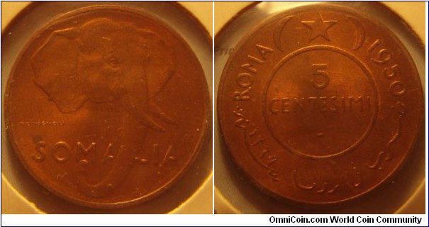 Somalia | 
5 Centesimi, 1950 | 
25.1 mm, 6 gr. | 
Copper | 

Obverse: African elephant | 
Lettering: SOMALIA | 

Reverse: Denomination within circle, star flanked by crescents above, date upper right | 
Lettering: ROMA 1950 5 CENTESIMI - |