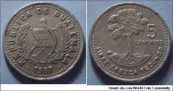 Guatemala | 
5 Centavos, 1987 | 
16 mm, 1.6 gr. | 
Copper-nickel-zinc | 

Obverse: National Coat of Arms, date below | 
Lettering: • REPUBLICA DE GUATEMALA • 1987 | 

Reverse: Kapok tree, denomination right | 
Lettering: LIBRE CREZCA FECUNDO 5 CENTAVOS |