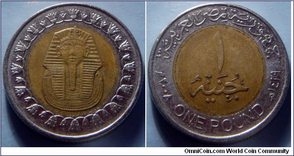 Egypt | 
1 Pound, 2008 (1429) | 
23 mm, 6.5 gr. | 
Brass plated Steel | 

Obverse: Mask of tutankhamun |

Reverse: Denomination, gregorian date left, Arabic date right | 
Lettering: جمهورية مصر العربية 1 ٢٠٠٨م ONE POUND ھ١٤٢٩ |
