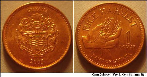 Guyana | 
1 Dollar, 2005 | 
16.92 mm, 2.46 gr. | 
Copper plates Steel | 

Obverse: National Coat of Arms, date below | 
Lettering: GUYANA 2005 | 

Reverse: A right hand harvesting rice, denomination right | 
Lettering: RICE HARVEST 1 DOLLAR BANK OF GUYANA |