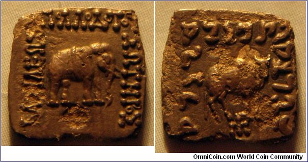 Greco-Bactrian Kingdom | 
1 AR Drachm, -160 – -150 | 
14.42 mm, 1.5 gr. | 
Bronze | 

Obverse: Sacred elephant with sacred belt facing right | 
Lettering: ΒΑΣΙΛΕΩΣ ΑΠΟΛΛΟΔΟΤΟΥ ΣΩΤΗΡΟΣ | 

Reverse: Zebu bull facing right | 
Lettering: 