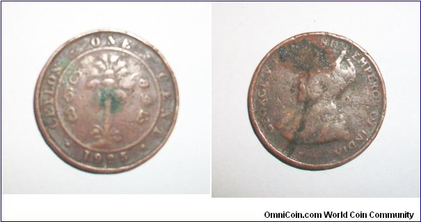 1 cent