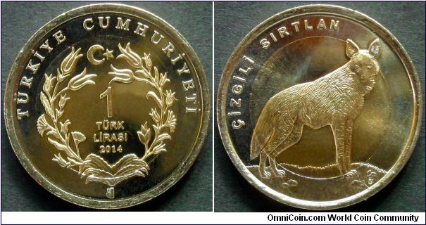 Turkey 1 lira.
2014, Striped Hyena.
Bimetal.