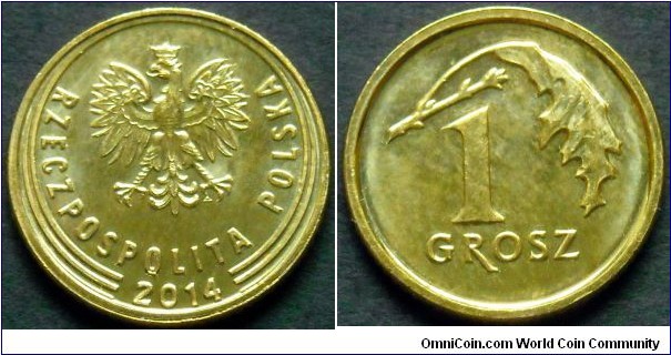 Poland 1 grosz.
2014, Brass plated steel. Struck at Royal Mint (Llantrisant UK)