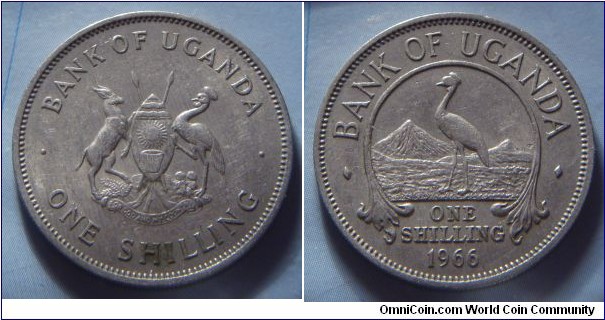 Uganda | 
1 Shilling, 1966 | 
25.5 mm, 6.5 gr. | 
Copper-nickel |  

Obverse: National Coat of Arms, denomination below | 
Lettering: • BANK OF UGANDA • ONE SHILLING | 

Reverse: Crested Crane bird faing left with mountain background, denominaton below, date bottom | 
Lettering: • BANK OF UGANDA • ONE SHILLING 1966 |