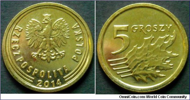 Poland 5 groszy.
2014, Brass plated steel.
Struck at Royal Mint.
(Llantrisant UK)