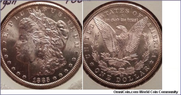 1885 CC Morgan
MS-64