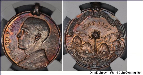 CM-95a, AM2: 194; Laidlaw: 0260; King William's Town 1925 Edward Prince of Wales visit to South Africa medal; bronze, plain edge, claw mount; this can be attributed to either British or South African medal, looks like NGC started grading them - this one is MS 63 BN.