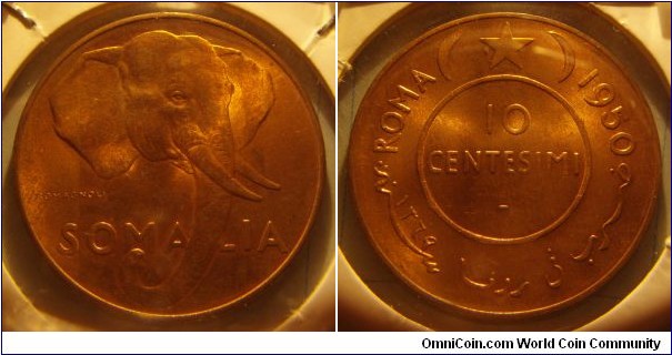 Somalia | 
10 Centesimi, 1950 | 
30 mm, 10 gr. | 
Copper | 

Obverse: African elephant | 
Lettering: SOMALIA | 

Reverse: Denomination within circle, star flanked by crescents above, date upper right | 
Lettering: ROMA 1950 10 CENTESIMI - في روما سنة ۱۳٦٩ |