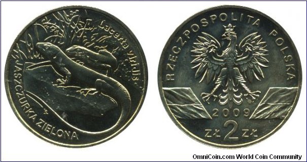 Poland, 2 zlote, 2009, Cu-Al-Zn-Sn, 27mm, 8.15g, Lacerta viridis - Green lizard.