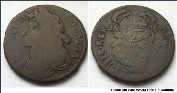 James II 1686 Irish Half Penny. G - VG.
