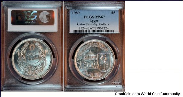 KM768, AH1410 (1989) Egypt 5 pounds; silver, shallow reeded edge; mintage 4,000, PCGS graded MS 67, commemorative Cairo University - School of Agriculture.