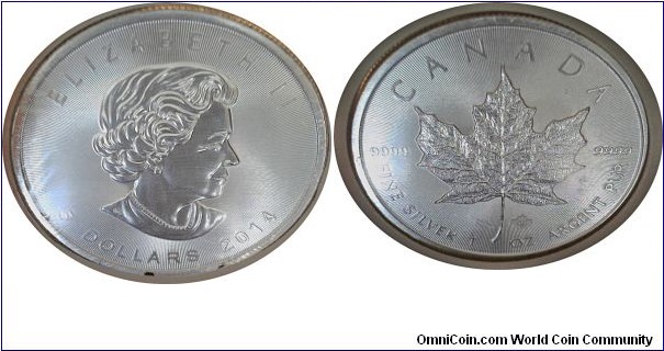 $5 Maple Leaf Bullion