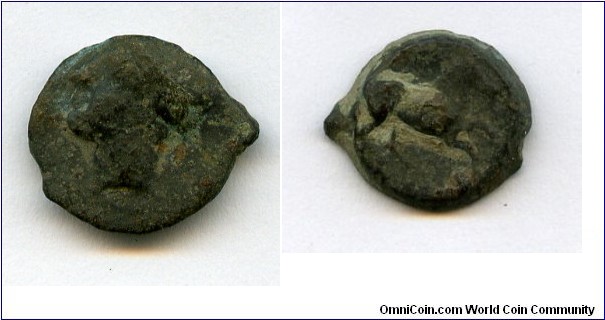 241-221bc
Carthage 
AE 14 
Head of Tanit left 
Prancing Horse
