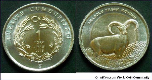 Turkey 1 lira.
2015, Anatolian Mouflon. Bimetal.