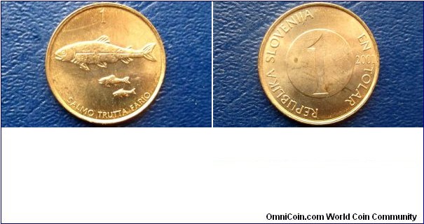 2001 Slovenia 1 Tolar KM#4 Three Brown Trout 22mm Nice Uncirculated Go Here:

http://stores.ebay.com/Mt-Hood-Coins