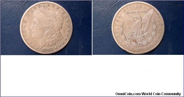 Sold !! .900 Silver 1902 Morgan Dollar Eagle Nice Circulated Classic Go Here:

http://stores.ebay.com/Mt-Hood-Coins