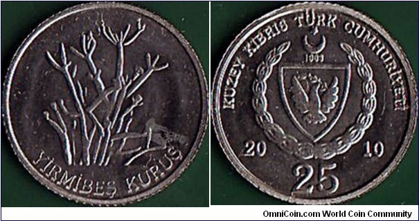 'Turkish Republic of 'Northern Cyprus' 2010 25 Kurus.

Planchet fault on the obverse.