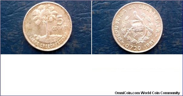Silver 1961 Guatemala 5 Centavos Kapok Nice Toned Circulated 
Go Here:

http://stores.ebay.com/Mt-Hood-Coins