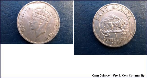 1950 East Africa Shilling KM# 31 George VI Lion Type Nice Grade Circ Coin Go Here:

http://stores.ebay.com/Mt-Hood-Coins