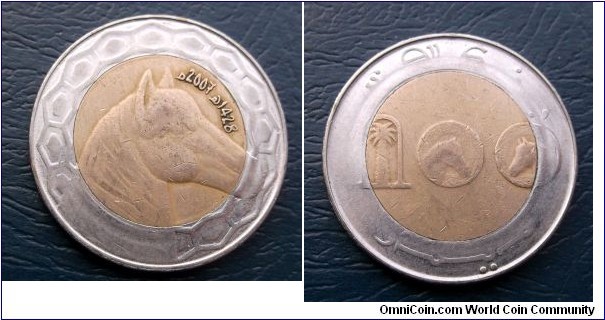 1428-2007 Algeria 100 Dinars Bi Metallic Popular Horse Head Nice Grade Coin Go Here:

http://stores.ebay.com/Mt-Hood-Coins