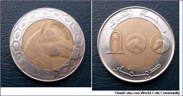 1430-2009 Algeria 100 Dinars Bi Metallic Popular Horse Head Nice Grade Coin Go Here:

http://stores.ebay.com/Mt-Hood-Coins
