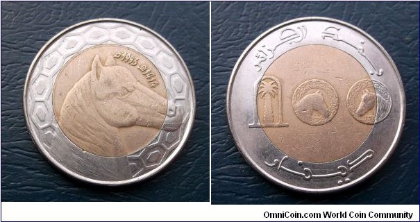 1414-1993 Algeria 100 Dinars Bi Metallic Popular Horse Head Nice Grade Coin Go Here:

http://stores.ebay.com/Mt-Hood-Coins