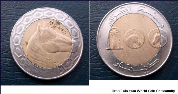 1430-2010 Algeria 100 Dinars Bi Metallic Popular Horse Head Nice Grade Coin Go Here:

http://stores.ebay.com/Mt-Hood-Coins
