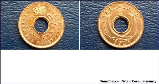1956-KN East Africa 1 Cent KM#26 Tusks Type High Grade Luster Coin Go Here:

http://stores.ebay.com/Mt-Hood-Coins
