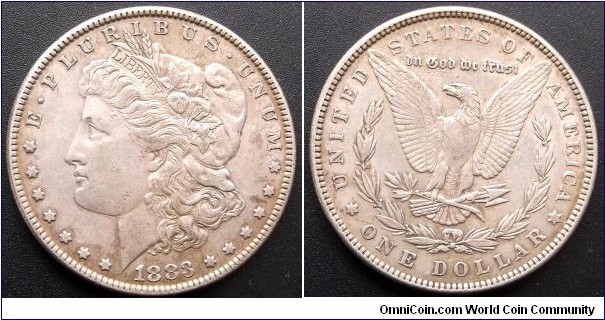 .900 Silver 1883-P Morgan Dollar Eagle Nice Grade Attractive Classic Go Here:

http://stores.ebay.com/Mt-Hood-Coins