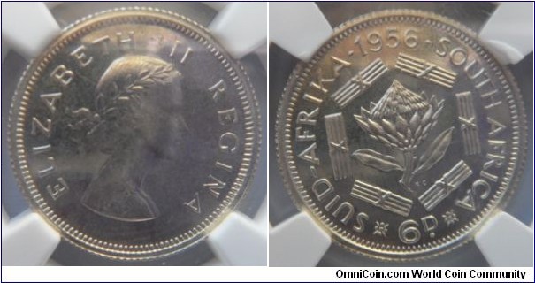6 Pence
NGC PF66