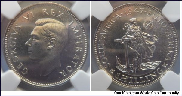 Shilling
NGC PF63