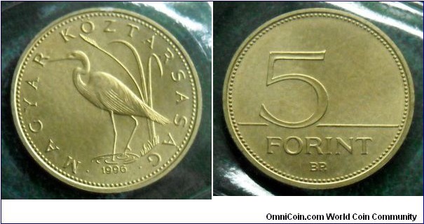 Hungary 5 forint from 1996 annual coin set.