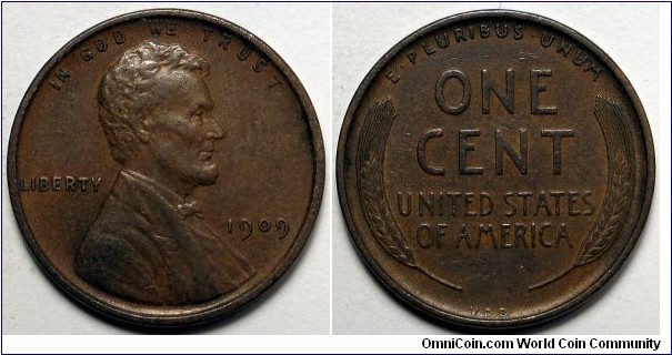 1909 V.D.B Wheat cent.