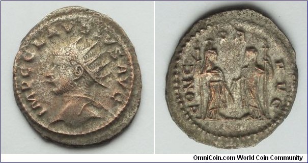 Claudius II Gothicus
Billon Antoninianus
268-270
CONC-OR AVG- two veiled figures facing, both holding torch & corn ears
IMP CLAVDIVS AVG- radiate, draped bust right.
Antioch Mint